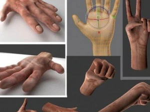 rigged hand man 3D Model