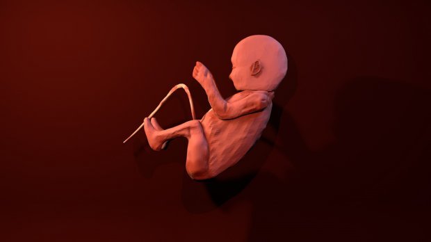 human fetus and baby playing 3D-Modell .c4d .max .obj .3ds .fbx .stl .blend 