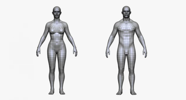 realistic body female and male 3D Model .c4d .max .obj .3ds .fbx .stl .blend