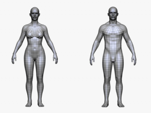 realistic body female and male Modèle 3D