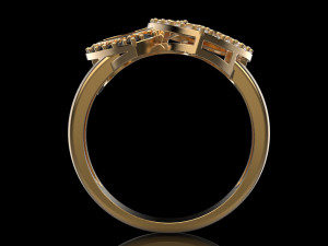 2 hearts ring 3D 打印模型