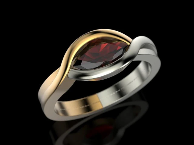 2 metal ring 3D Print Model .c4d .max .obj .3ds .fbx .stl .blend 