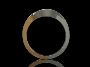 2 metal ring Modelo de Impressão 3D