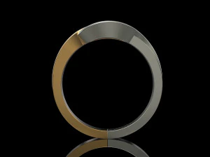 2 metal ring 3D Print Model