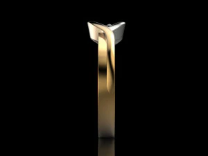 2 metal ring 3D Print Model