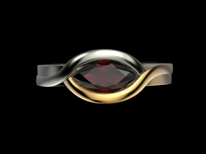 2 metal ring 3D Print Model