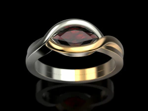 2 metal ring 3D Print Model