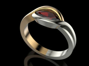 2 metal ring 3D Print Model