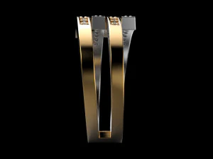 2 металлическое кольцо 2 3D Принт Модель