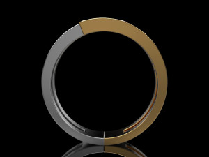 2 metal ring 2 Modelo de Impressão 3D