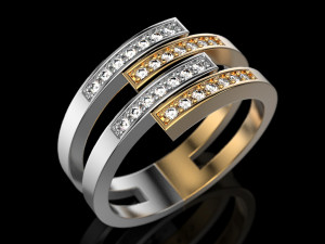2 metal ring 2 Modelo de Impressão 3D