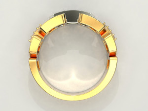 2 metal ring 3 3D Baskı Modeli