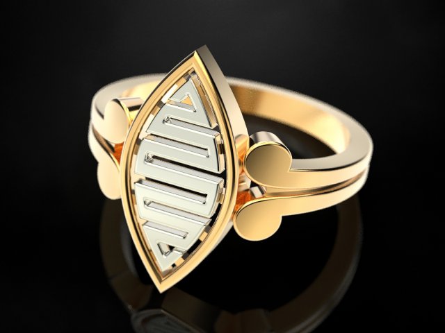 2 metal ring 4 3Dプリントモデル .c4d .max .obj .3ds .fbx .stl .blend 