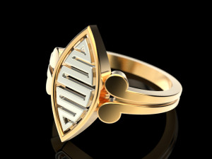 2 metal ring 4 3Dプリントモデル