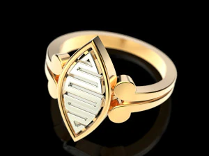 2 metal ring 4 3D Print Model