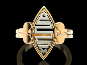 2 metal ring 4 3Dプリントモデル