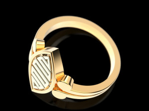 2 metal ring 4 3Dプリントモデル