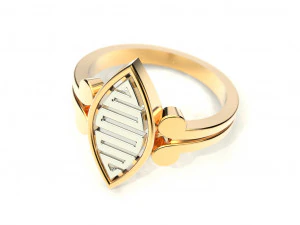 2 metal ring 4 3D Print Model