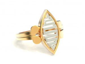 2 metal ring 4 3D Print Model