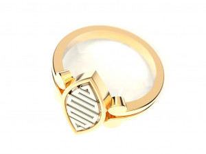 2 metal ring 4 3Dプリントモデル