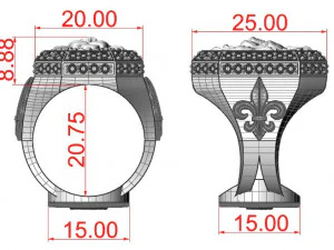 a large ring with a lion and an all-seeing eye new ubdate 3D Print Model