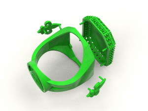 a large ring with a lion and an all-seeing eye new ubdate 3D 打印模型