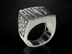 biker ring 2 3D 打印模型