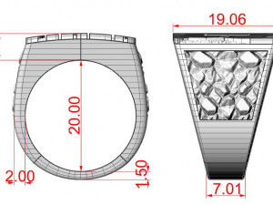 biker ring 2 3D 打印模型