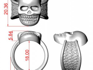 biker ring with a skull 3D Print Model