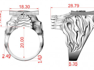 All seeing eye skull ring Modello di stampa 3D