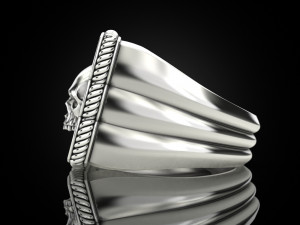 Skull Ring 151223 3D 打印模型