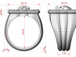 Skull Ring 151223 3D 打印模型