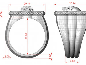 Skull Ring 151223 3D Print Model