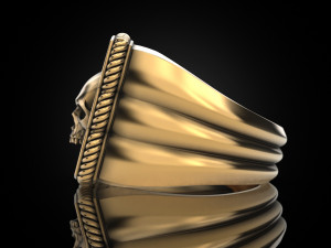 Skull Ring 151223 3D 打印模型