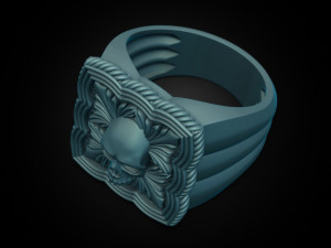Skull Ring 151223 3D 打印模型
