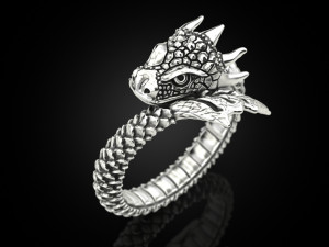 Ring A Dragon 3D 打印模型