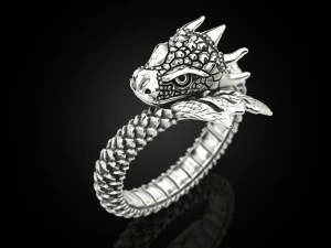Ring A Dragon 3D Print Model
