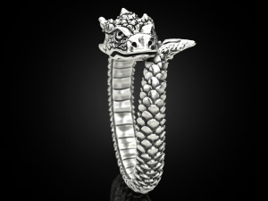 Ring A Dragon 3D 打印模型
