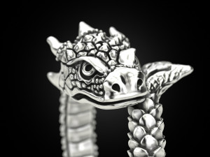 Ring A Dragon 3D 打印模型