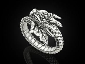 Ring A Dragon 3D 打印模型