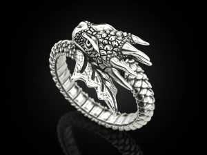 Ring A Dragon 3D Print Model