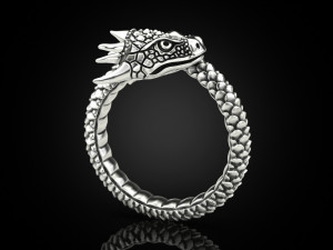 Ring A Dragon 3D 打印模型