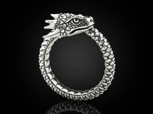 Ring A Dragon 3D Print Model