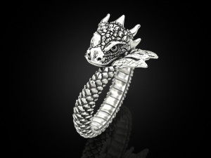 Ring A Dragon 3D 打印模型