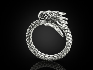 Ring A Dragon 3D 打印模型