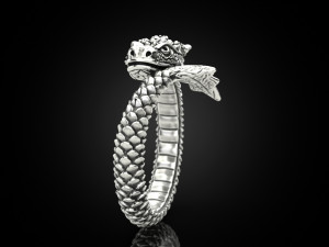 Ring A Dragon 3D 打印模型