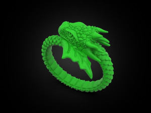 Ring A Dragon 3D 打印模型