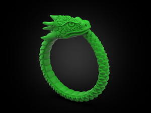 Ring A Dragon 3D 打印模型