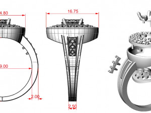 Ladies Rings 3D Принт Модель