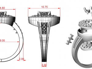 Ladies Rings 3D Print Model